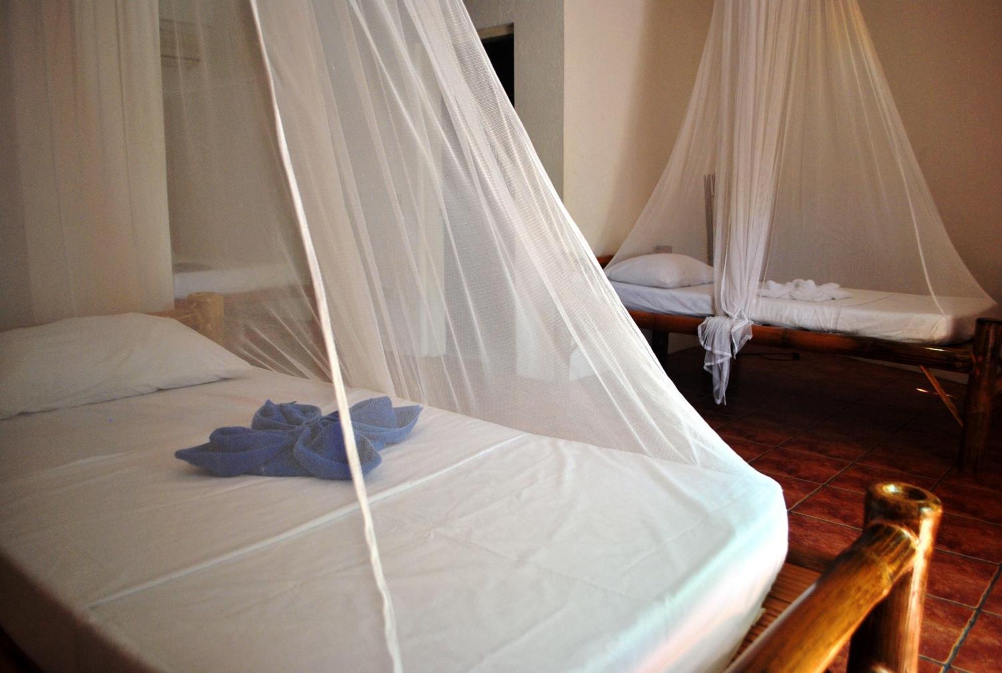 The Blue Orchid Resort Моалбоал Номер фото