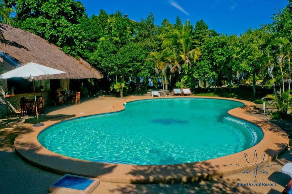 The Blue Orchid Resort Моалбоал Екстер'єр фото